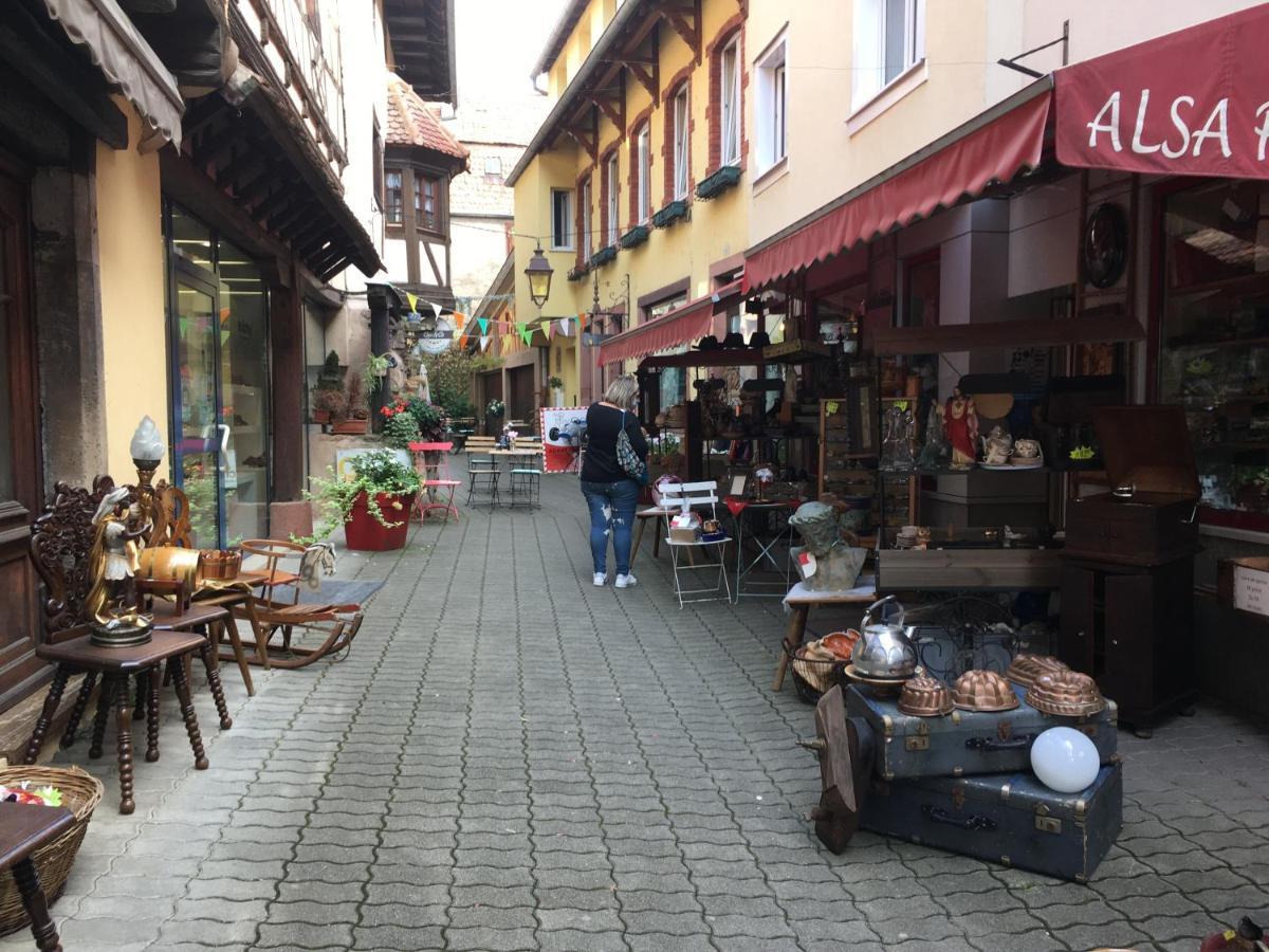 Maison Independante De Montagne En Alsace Bellefosse المظهر الخارجي الصورة