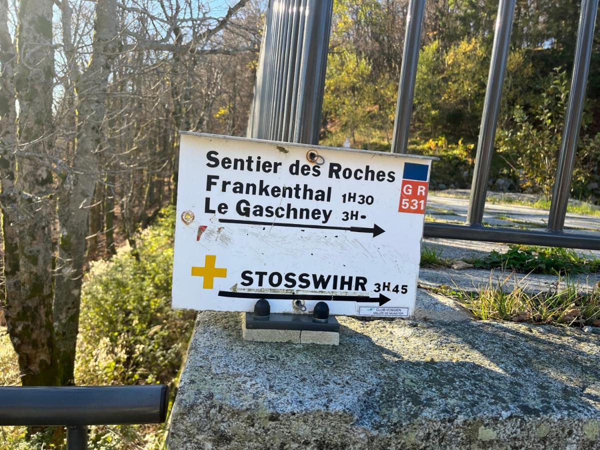 Maison Independante De Montagne En Alsace Bellefosse المظهر الخارجي الصورة