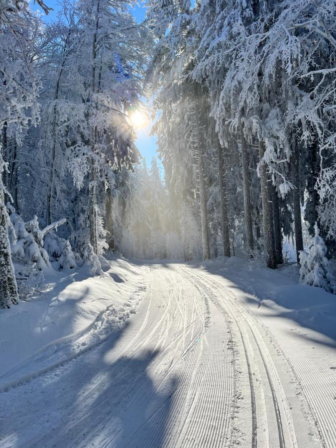 Maison Independante De Montagne En Alsace Bellefosse المظهر الخارجي الصورة