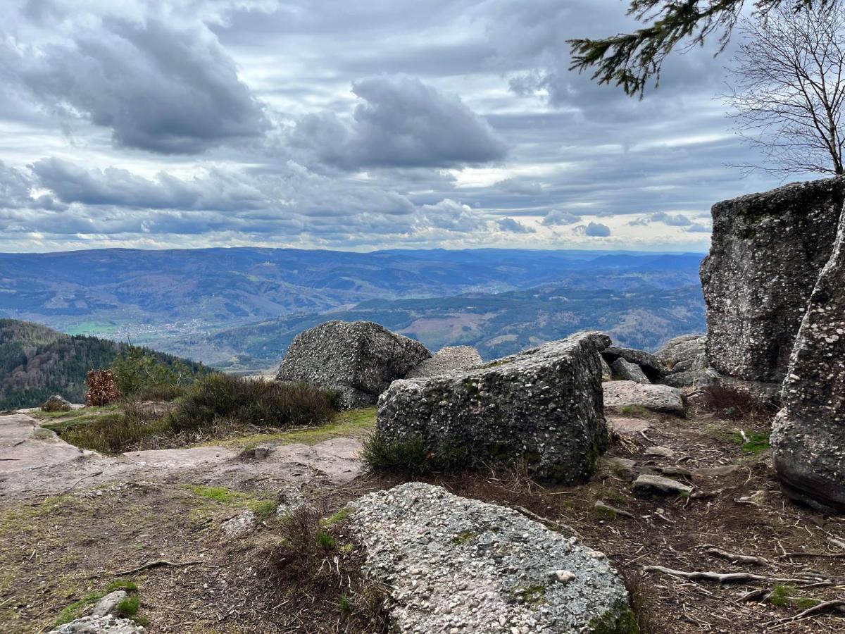 Maison Independante De Montagne En Alsace Bellefosse المظهر الخارجي الصورة