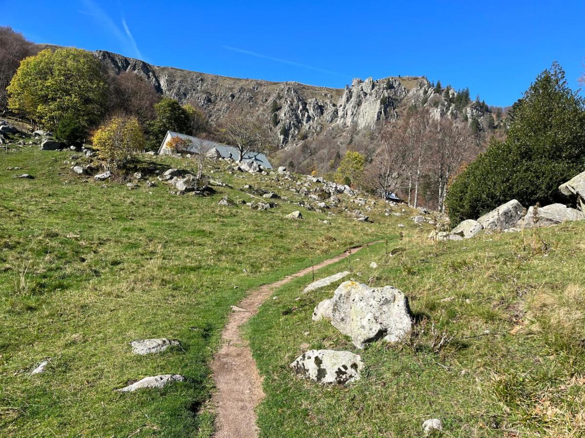Maison Independante De Montagne En Alsace Bellefosse المظهر الخارجي الصورة