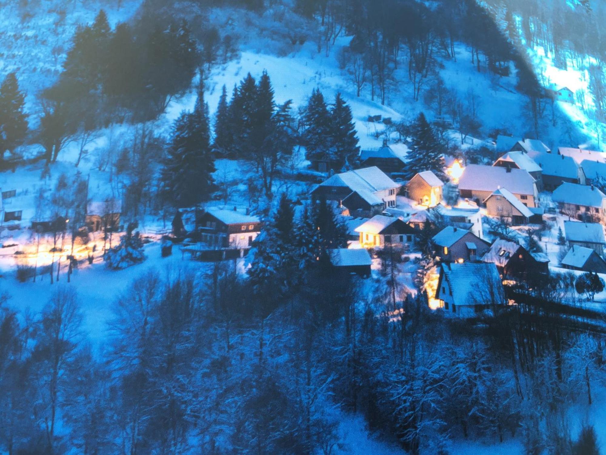 Maison Independante De Montagne En Alsace Bellefosse المظهر الخارجي الصورة