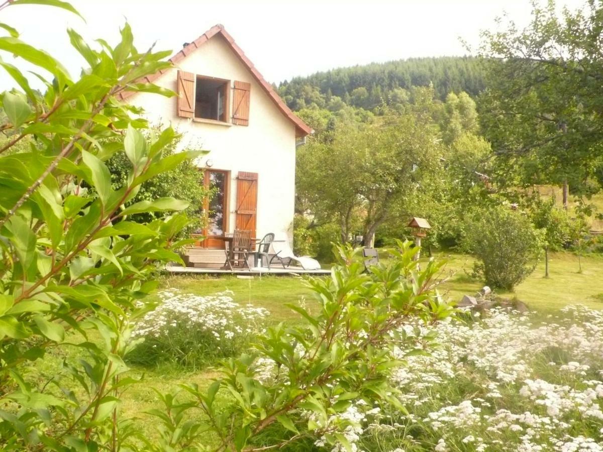 Maison Independante De Montagne En Alsace Bellefosse المظهر الخارجي الصورة