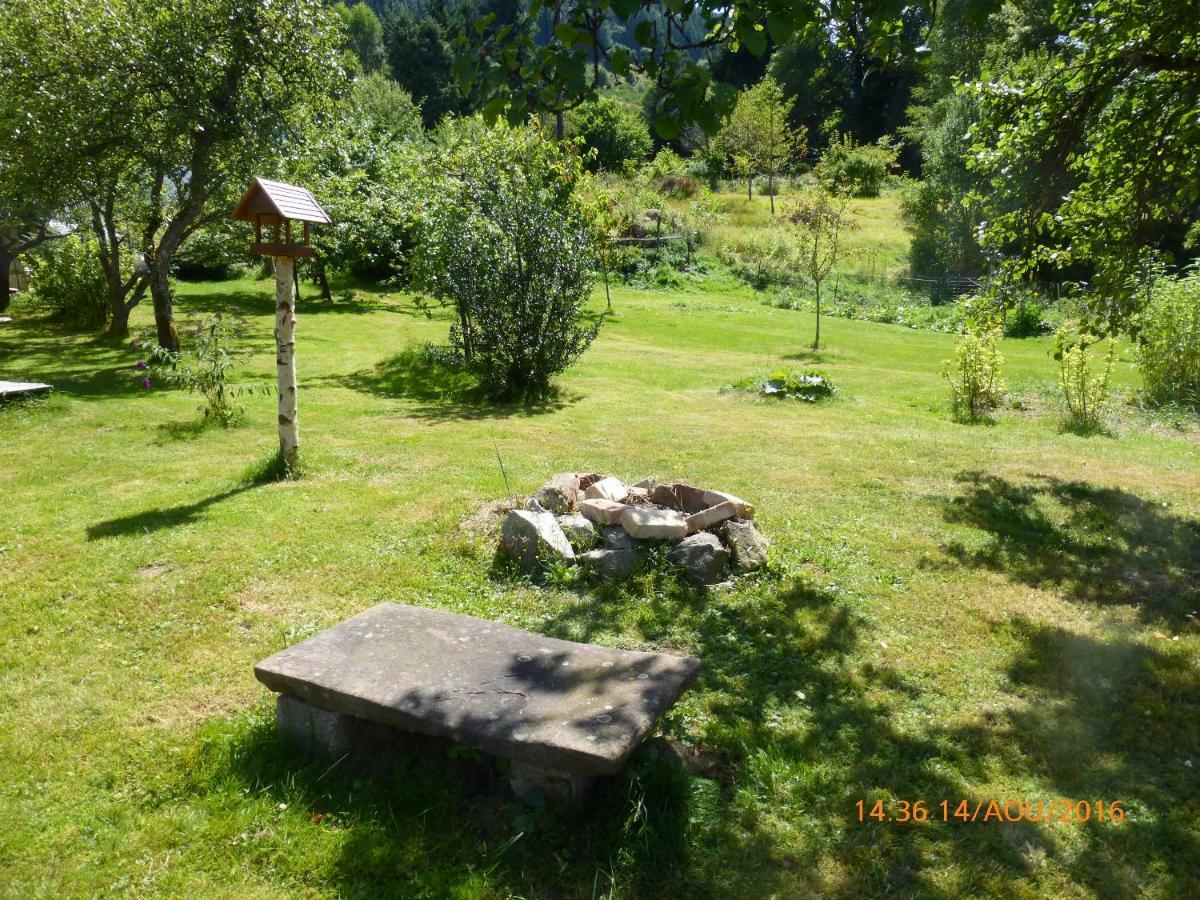 Maison Independante De Montagne En Alsace Bellefosse المظهر الخارجي الصورة