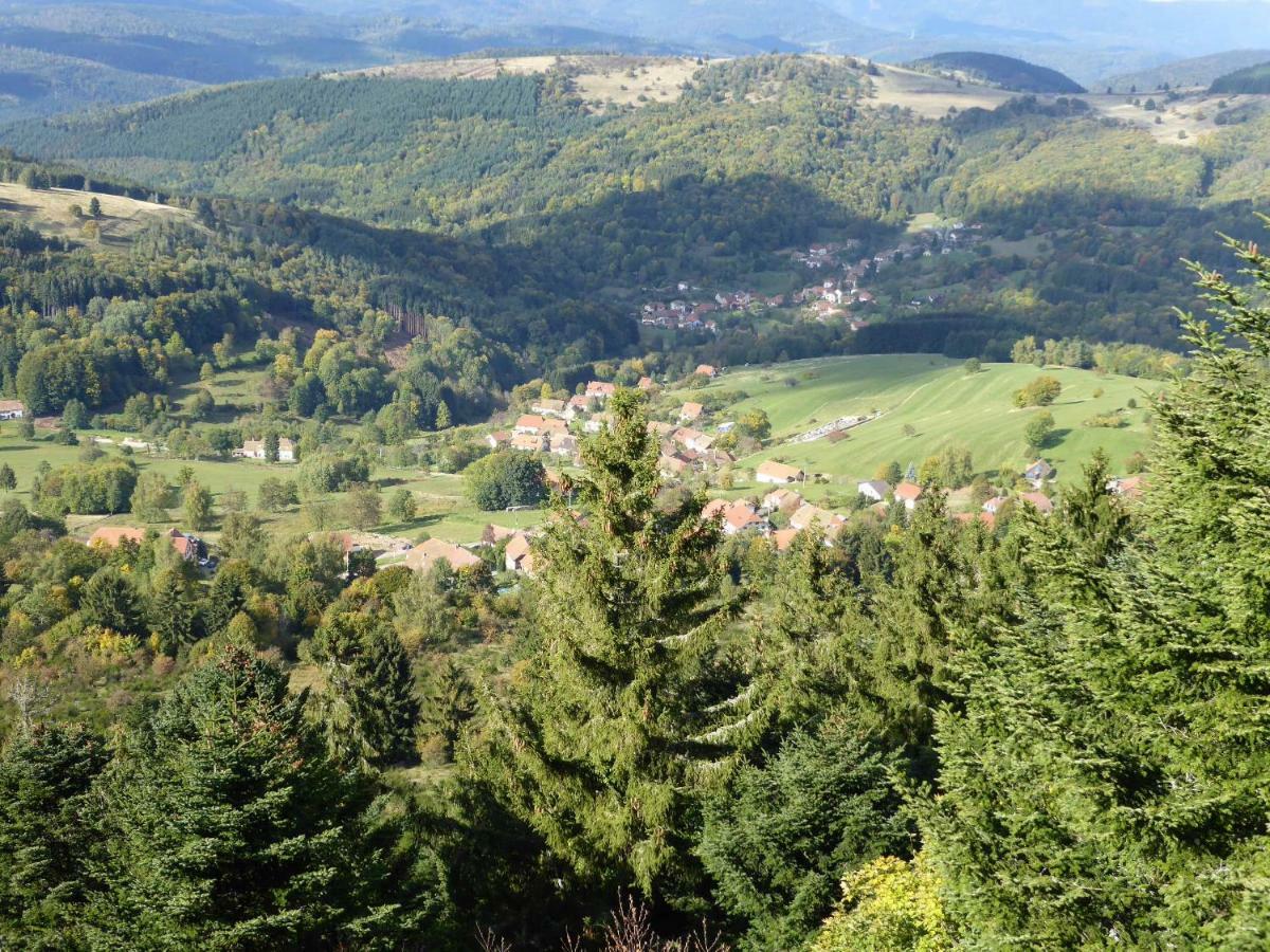 Maison Independante De Montagne En Alsace Bellefosse المظهر الخارجي الصورة