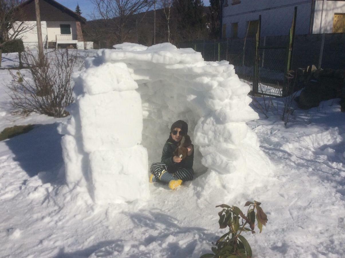 Maison Independante De Montagne En Alsace Bellefosse المظهر الخارجي الصورة